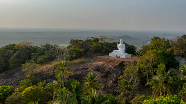 White Buddha Rainforest with a white Buddha statue at the pilgrimage site of Mihintale. anuradhapura stock pictures, royalty-free photos & images