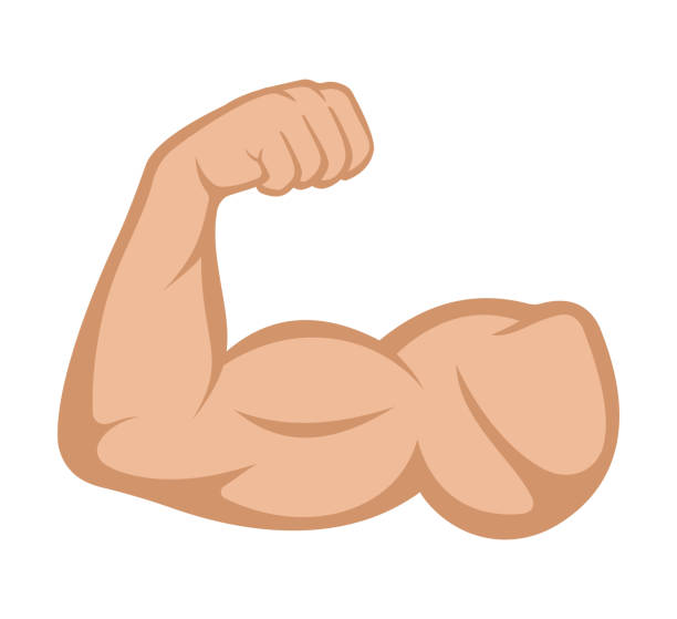 ilustraciones, imágenes clip art, dibujos animados e iconos de stock de bíceps. icono muscular. ilustración vectorial - flexing muscles