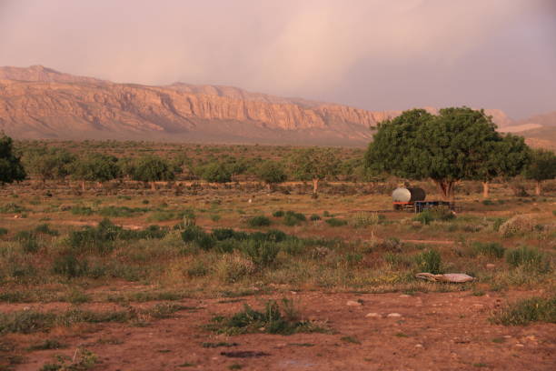 Tucson Mountain Park is located less than 10 miles west of downtown Tucson. The the park is one of the largest natural resource areas owned and managed by a local government in the U.S.