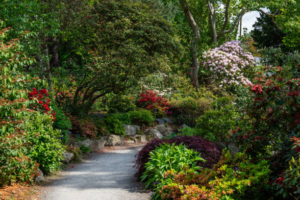 istock Beautiful Garden with blooming trees during spring time 1162847054