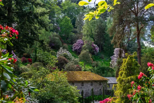 Beautiful Garden with blooming trees during spring time, Wales, UK