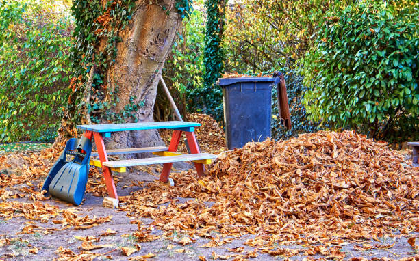 Heap pile and garbage bin in autumn. Nature scene from autumn plaster.