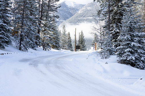 Curve along a snow covered road trough pine woodland in a mountain setting on a winter day. Banff, AB, Canada.