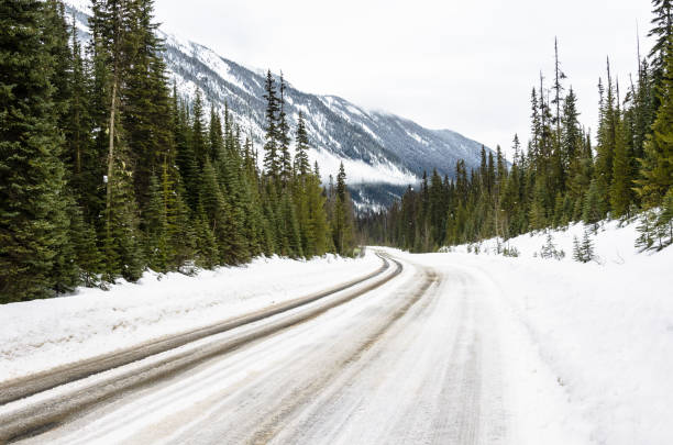 Snowy road through pine woodland in the mountains Icy Road through a snowy pine forest in the Canadian Rockies on a cloudy winter day. Concept of dangerous driving conditions. British Columbia, Canada. yoho national park photos stock pictures, royalty-free photos & images