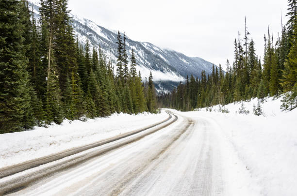 snowy road through pine woodland in the mountains - british columbia canada lake emerald lake imagens e fotografias de stock