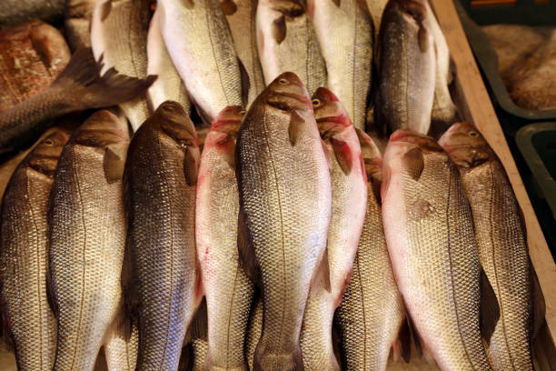 istock Different sea fish at a fish market in Croatia 1162853317