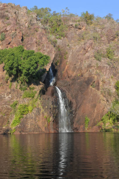 wodospad wangi w parku narodowym litchfield northern territory australia - wangi falls zdjęcia i obrazy z banku zdjęć