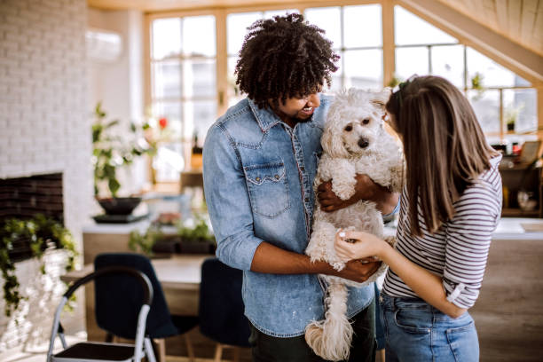 istock Multi-ethnic couple at home with their cute dog 1162855470