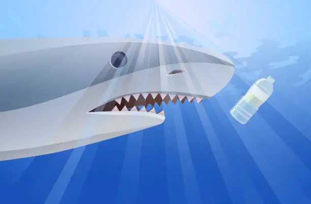 Vector illustration of Shark about to plastic bottle vector icon