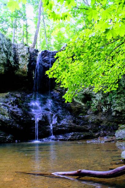 istock Majestic outdoors 1162857766