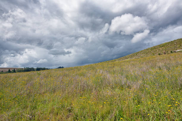 Rural landscape of open fields with beautiful cloud formations in deep azure sky in Idaho, USA.