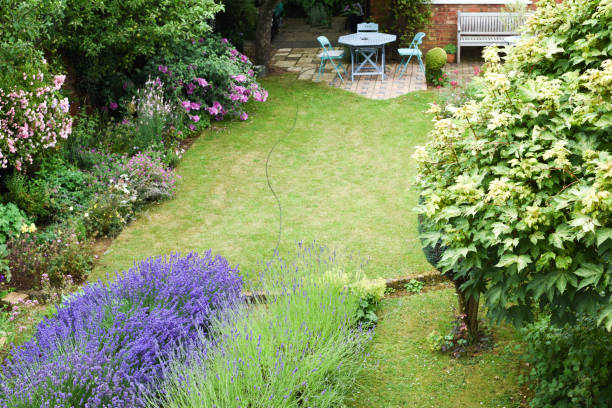 istock A well kept back yard or garden with lawn and seating area, high angle shot 1162863016