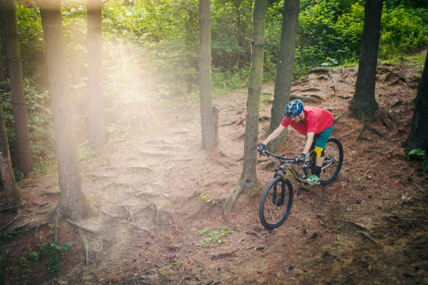 istock Mountain biker climbing in the woods 1162863984