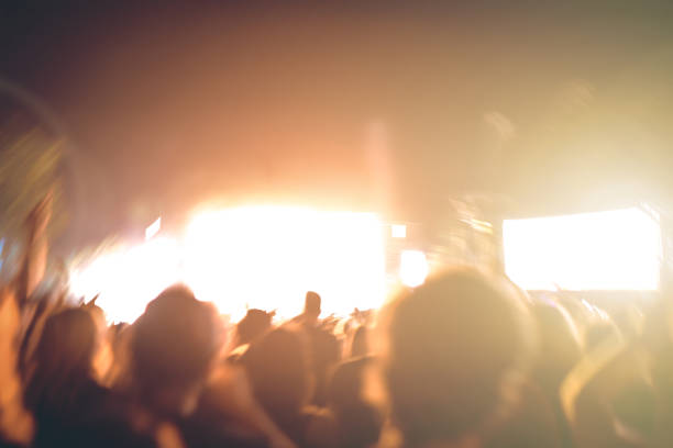 istock People having fun at a concert 1162865658