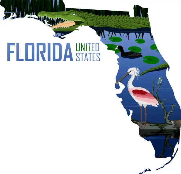 Vector illustration of vector Florida - American state map with alligator, spoonbill, coot and turtle