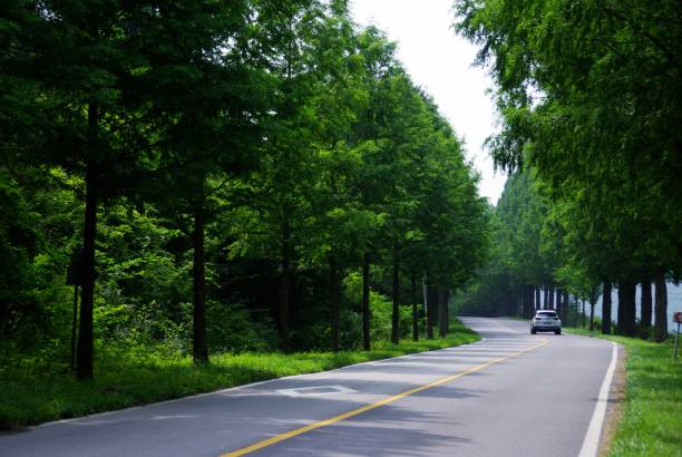 istock Go to Jinan Meta Road, full of greenery. 1162868169