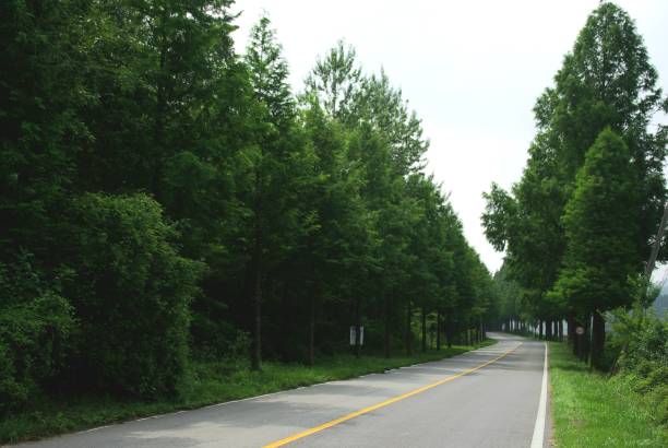 istock Go to Jinan Meta Road, full of greenery. 1162868255
