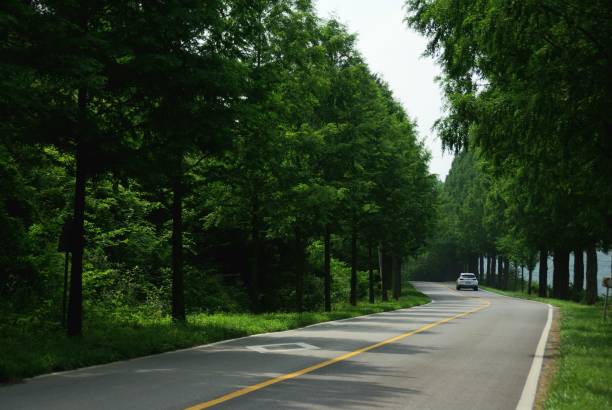 istock Go to Jinan Meta Road, full of greenery. 1162868304