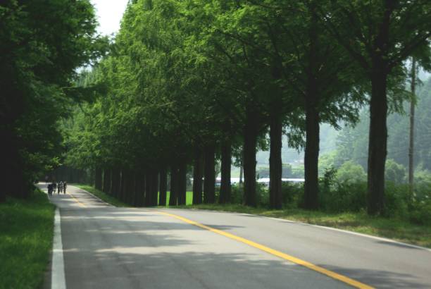 istock Go to Jinan Meta Road, full of greenery. 1162868360