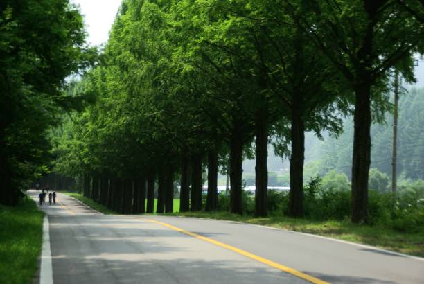istock Go to Jinan Meta Road, full of greenery. 1162868371