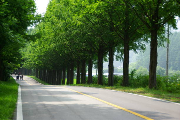 istock Go to Jinan Meta Road, full of greenery. 1162869931