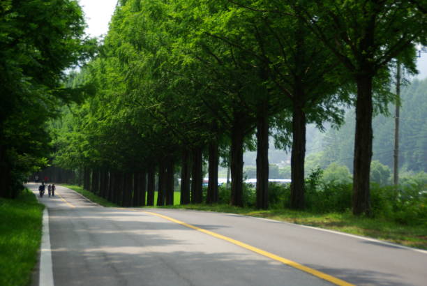 istock Go to Jinan Meta Road, full of greenery. 1162869935