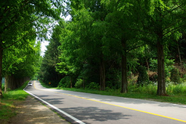 istock Go to Jinan Meta Road, full of greenery. 1162869954