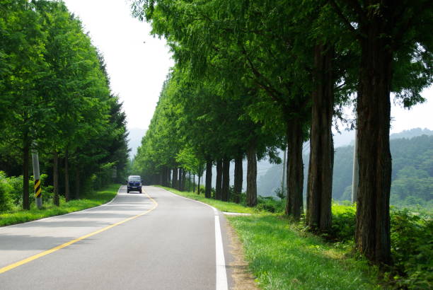 istock Go to Jinan Meta Road, full of greenery. 1162870049