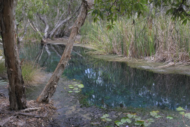オーストラリア・北方領土のマタランカ付近のビタースプリングスの風景 - catherine i ストックフォトと画像