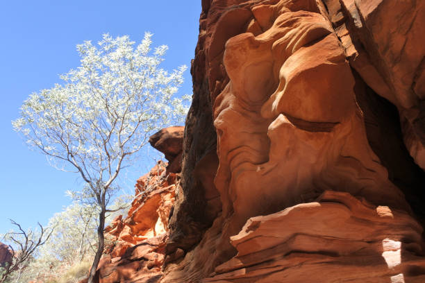 kings canyon im northern territory australien - watarrka national park stock-fotos und bilder