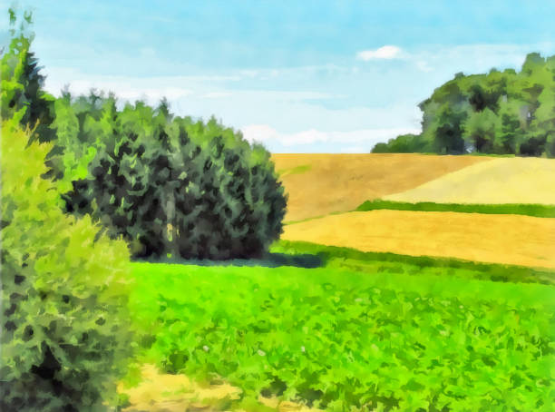 istock Watercolor landscape field and forest 1162876147