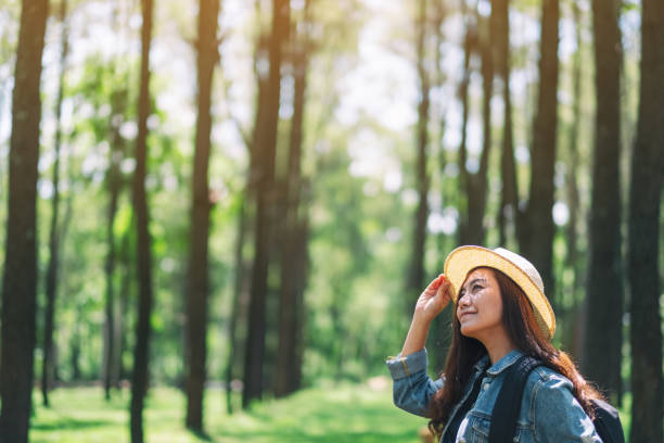istock female traveler with a hat and backpack looking into a beautiful pine woods 1162882192