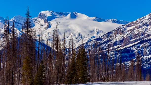 istock Undisturbed Wilson Icefield 1162882728