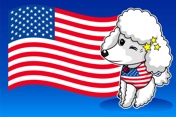 米国旗を持つ白いプードルの第4回独立記念日 - dog patriotism flag politics点のイラスト素材／クリップアート素材／マンガ素材／アイコン素材