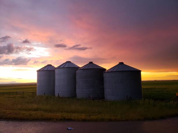 istock Four metal granaries at sunset 1162889174