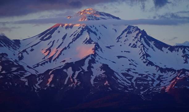 istock Mt. Shasta Lionheart 1162890135