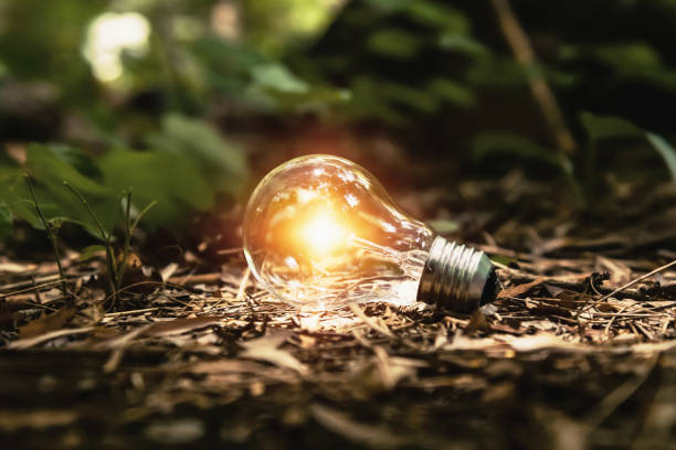 istock light bulb on ground with sunshine in forest. concept clean energy 1162901442