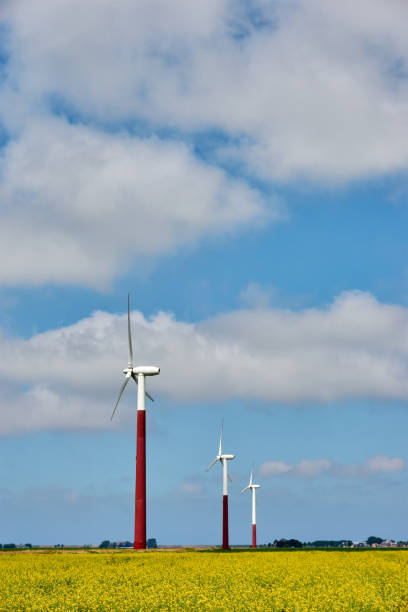 istock Wind turbines in yellow rapeseed field 1162905571