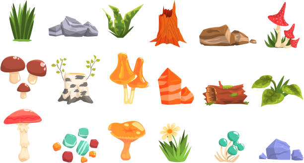 Forest Landscape Natural Elements, Plants And Mushrooms Forest Landscape Natural Elements, Plants And Mushrooms. Isolated Cartoon Style Simple Illustrations Set On White Background. peppery bolete stock illustrations
