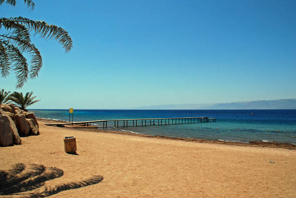 the shores of the aqaba marine park in jordan - gulf of aqaba imagens e fotografias de stock