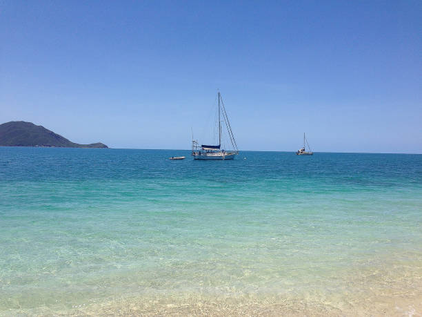 istock Fitzroy Island and its beautiful beach, Australia Queensland 1162911599