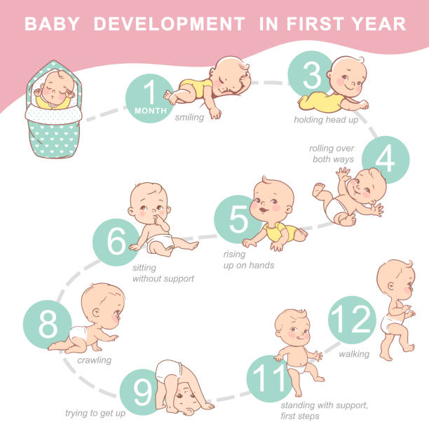 Set of child health and development icon. Infographic of baby growth from newborn to toddler with text. First year milestones. Cute boy, girl of 12 months. Design template. Vector color illustration. piccolo stock illustrations