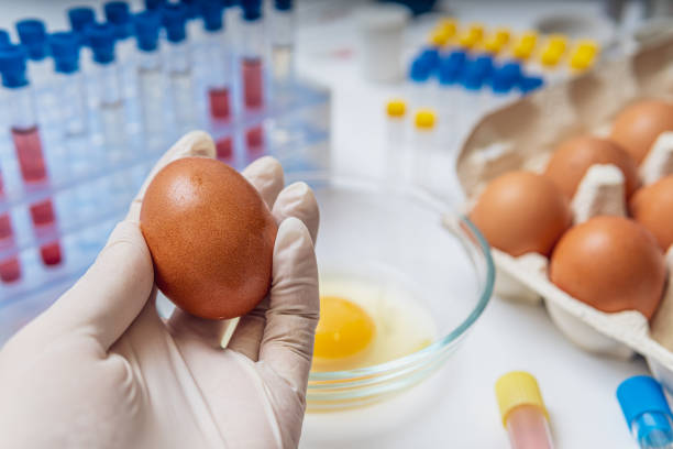 istock Scientist is holding egg in hand in laboratory. Food testing concept. 1162915951