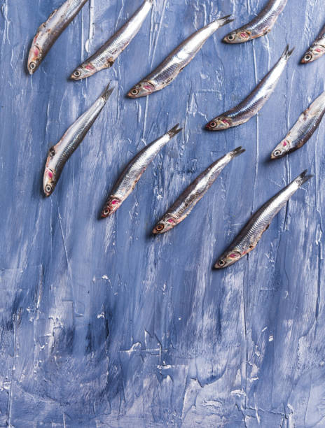 istock Fish pattern. Fresh anchovies on blue 1162917383
