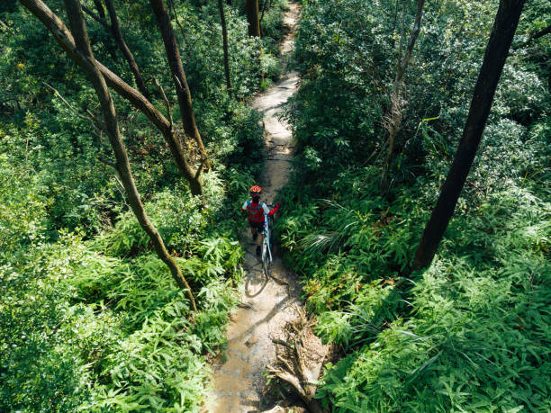 istock Woman cyclist with a mountain walking on tropical forest 1162919692