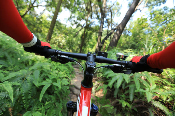 istock Riding mountain bike on summer forest trail 1162919911