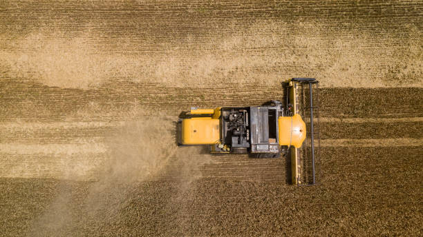 istock Top down view of the combine working on the large wheat field 1162923279
