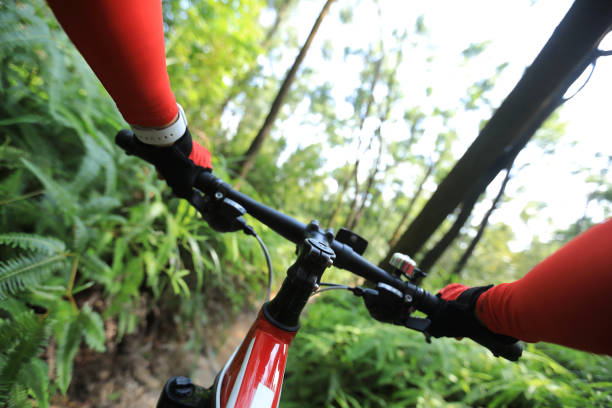 istock Riding mountain bike on summer tropical forest trail 1162924269