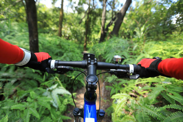 istock Riding mountain bike on summer tropical forest trail 1162924324