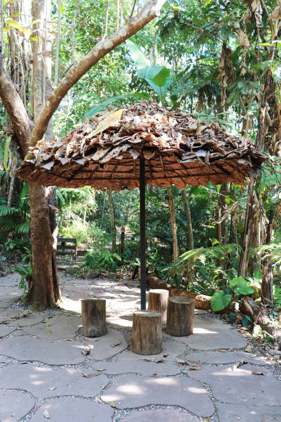 istock Umbrella made of leafs on a park. 1162925301